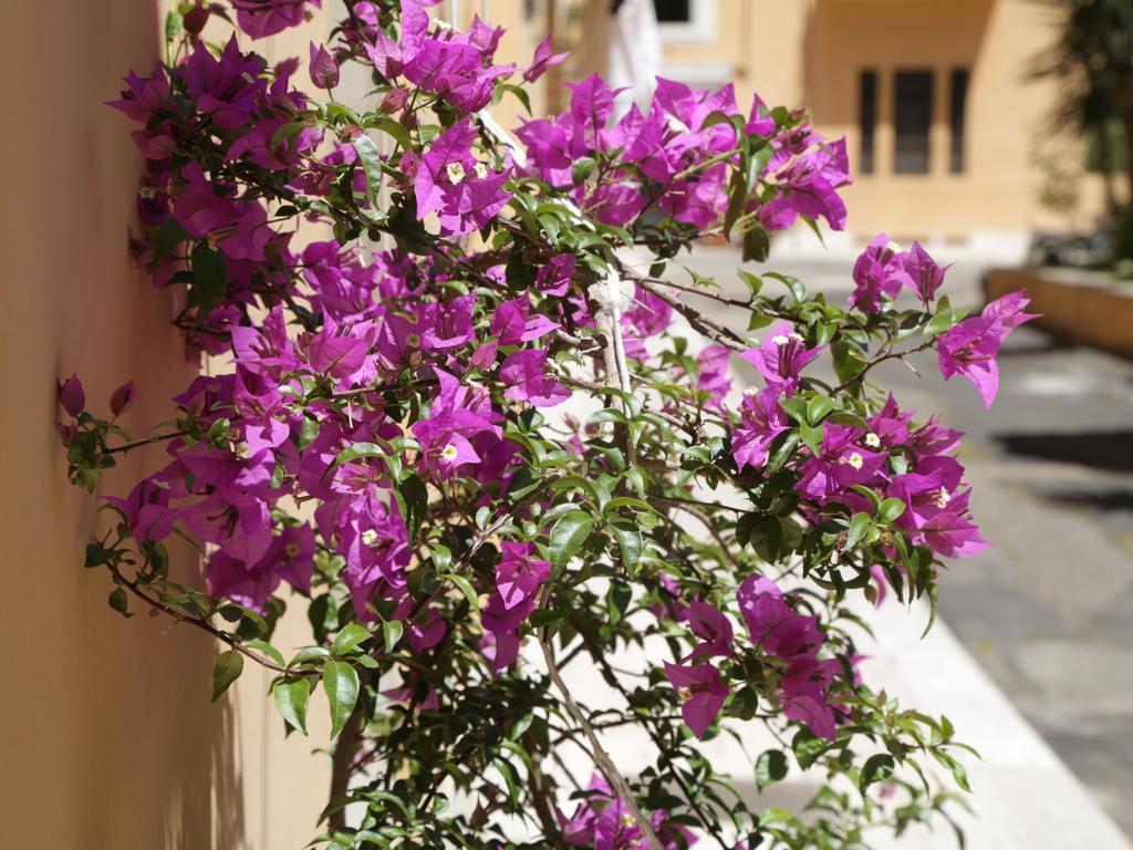 Guest House Masterintrastevere Rome Bagian luar foto